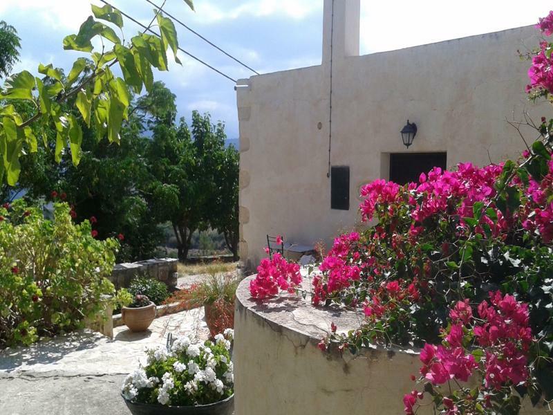Petra & Elia Villa Megala Chorafia Exterior photo