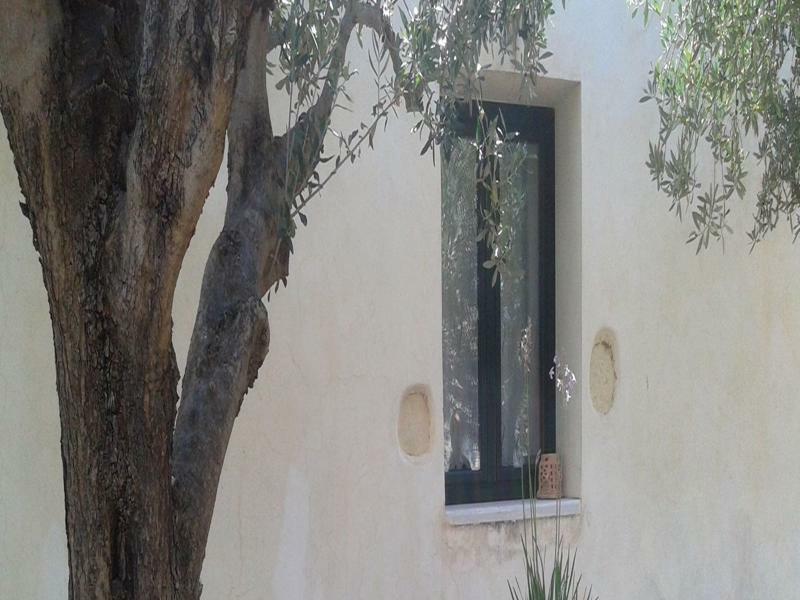 Petra & Elia Villa Megala Chorafia Exterior photo