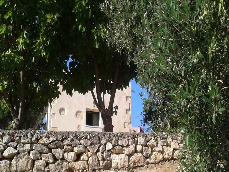 Petra & Elia Villa Megala Chorafia Exterior photo